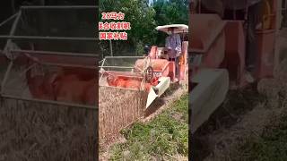 HighPerformance Wheat Cutting and Threshing Machinery for Streamlined Harvesting [upl. by Bullard956]