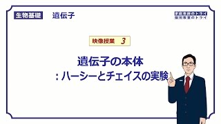 【生物基礎】 遺伝子3 ハーシーとチェイスの実験 （１５分） [upl. by Sulihpoeht]