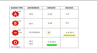 Blood Types [upl. by Loni128]