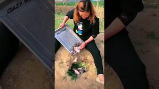 baby rabbit crazy moment 🔥rabbit pets animals strending [upl. by Lem]