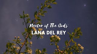 Lana del Rey  Nectar of the Gods Lyrics [upl. by Ennaed]