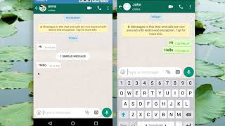 How to Read WhatsApp Messages without Blue Tick Marks [upl. by Watt]