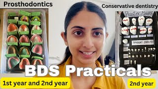 BDS practical work explained  1st and 2nd year [upl. by Hay]