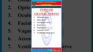 types of cranial nerve  types of nerve [upl. by Asiar]