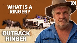 What is an Outback Ringer  Outback Ringer [upl. by Anilemrac242]