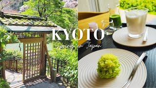 4K JAPAN VLOG｜Kyoto｜Visting Matcha Town Tea Tasting Walk in Nara [upl. by Palmore853]