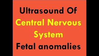 Ultrasound of CNS foetal anomalies [upl. by Paley703]