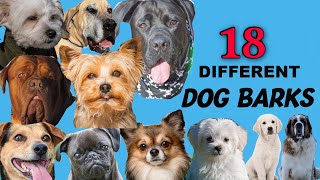 Dogs Barking compilation  loud dogs barking sound effects [upl. by Akeimahs]