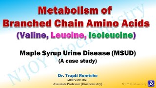 16 Branched chain amino acids MetabolismAmino Acids Metabolism  Biochemistry  NJOY Biochemistry [upl. by Ahseinet]