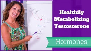 Healthily Metabolizing Testosterone [upl. by Radley]