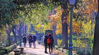 🍁🍄🍂Real Jardín Botánico de Madrid en otoño HD [upl. by Post]