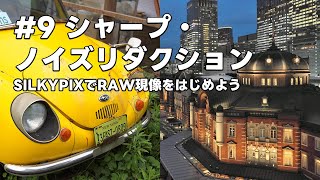 SILKYPIXでRAW現像をはじめよう 9 シャープ・ノイズリダクション [upl. by Niuqaoj]