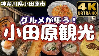 【神奈川県小田原市】駅直結！ミナカ小田原でグルメ三昧！ [upl. by Peedus]