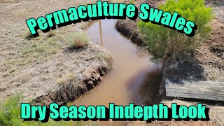 Permaculture Swales in Sonoran Desert 6th Year Drought Proofing Food Forest amp Garden [upl. by Eelrac566]