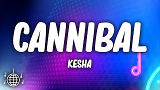 Kesha  Cannibal Lyrics [upl. by Eekram]