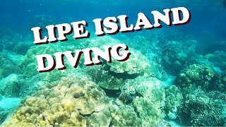 Koh Lipe thailand diving underwater [upl. by Nosyrb685]