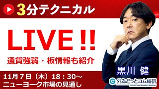 見通しズバリ！3分テクニカル分析「ライブ‼」 NY市場の見通し 2024年11月7日 [upl. by Airdnas]