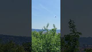 First observation deck on the climb to Schlossberg Graz respect travel europe shorts [upl. by Ajnos137]