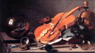 Vivaldi Violin Concerto in E minor RV273  Fabio Biondi Europa Galante [upl. by Einolem]