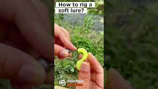 How to rig a padle tail soft lure jig head lure fishingknots fishing fishingmethods [upl. by Riane]