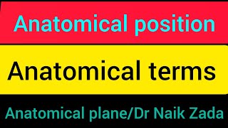 anatomical positionanatomical position and directional terms anatomical position and terms in urdu [upl. by Dodi]