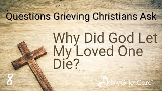 Why Did God Let My Loved One Die  Questions Grieving Christians Ask Ep 8 [upl. by Lyssa]