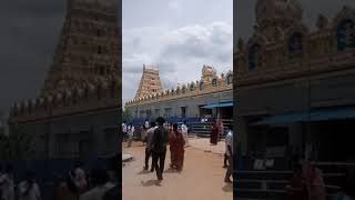 kabbalamma in kabbalu near Kanakapura🙏 very powerful temple [upl. by Htirehc]