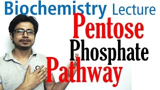 Pentose phosphate pathway [upl. by Imef198]