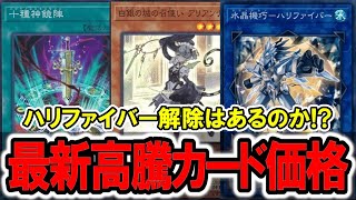 【遊戯王】改定直前！「ハリファイバー」解除はあるのか最新高騰カード価格情報！ティスティナラビュリンス [upl. by Flight85]