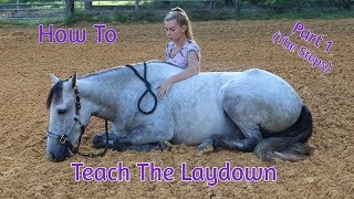 How To Teach Your Horse The ‘Laydown Part 1 No RopesNo Force [upl. by Bekha]