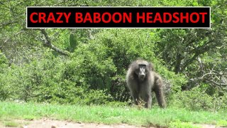 Crazy Baboon Hunting Headshot [upl. by Cozza]