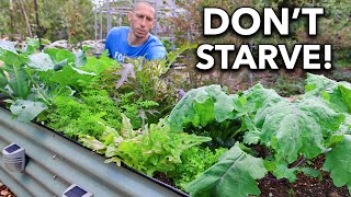 10 ColdHardy Crops You Can Grow Through the Winter Grow at 30°F [upl. by Dekow19]