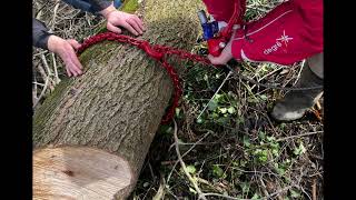 TREUIL FORESTIER MARY AGRI 4 TONNES AVEC RADIO [upl. by Frasco]