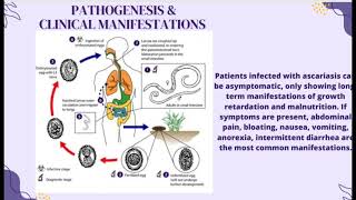 ALL ABOUT ASCARIASIS [upl. by Tobie]