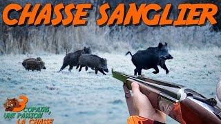 Chasse sanglier  Des sangliers en pagaille [upl. by Rehpotsirhc]