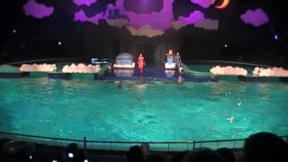 Dolphin show De Droomwens Part 1 Dolfijnenshow [upl. by Paige]