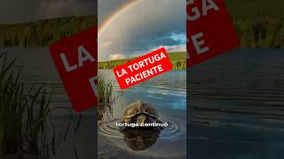 historia de la tortuga [upl. by Atis]