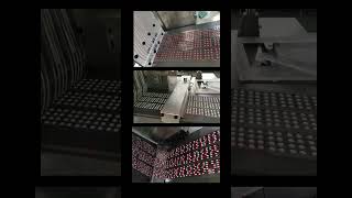 Customized Stable High Speed Tablet Capsule Blister Feeder automation machine [upl. by Haikan890]