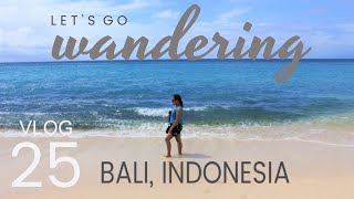 Bali Beach  Dreamland amp Legian Beach  Indonesia  Vlog  25 [upl. by Etterb]