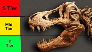 Ranking Dinosaur Fossils Tier List [upl. by Valencia]