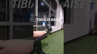 Tibialis Raise for Achilles Tendinitis [upl. by Aniela]