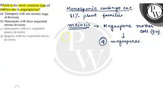 Which is the most common type of embryo sac in angiosperms a Tet [upl. by Airogerg]