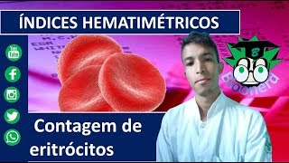 Contagem de eritrócitos Parte 1Índices hematimétricos [upl. by Queen]