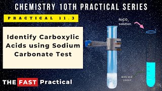 Chemistry 10th Practical 113 Identify Carboxylic Acids using Sodium Carbonate Test [upl. by Kellen]