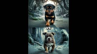 Rottweiler Puppy vs Pitbull puppy  German Shepherd Husky Doberman labrador retriever Pointer [upl. by Nosyerg997]