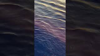 Calming Ocean Waves with Soothing Music  Relax amp Unwind [upl. by Emile]