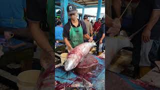 Amazing skills cutting large size tuna very skillfully tuna tunacuttung fishcutting skills [upl. by Seira]