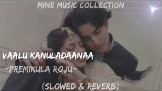 Vaalu Kanuladaanaa Slowed  Reverb From Premikula Roju  Mine Music Collection [upl. by Howland397]