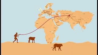 Human Migration Out of Africa Tracing Our Ancient Origins [upl. by Nac302]