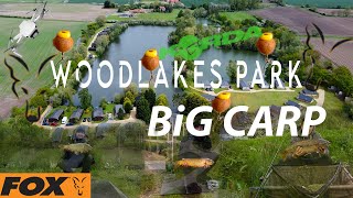 Carp Fishing  How to catch Big Carp  Woodlakes Park Kings Lynn DayTicket [upl. by Nnayhs539]